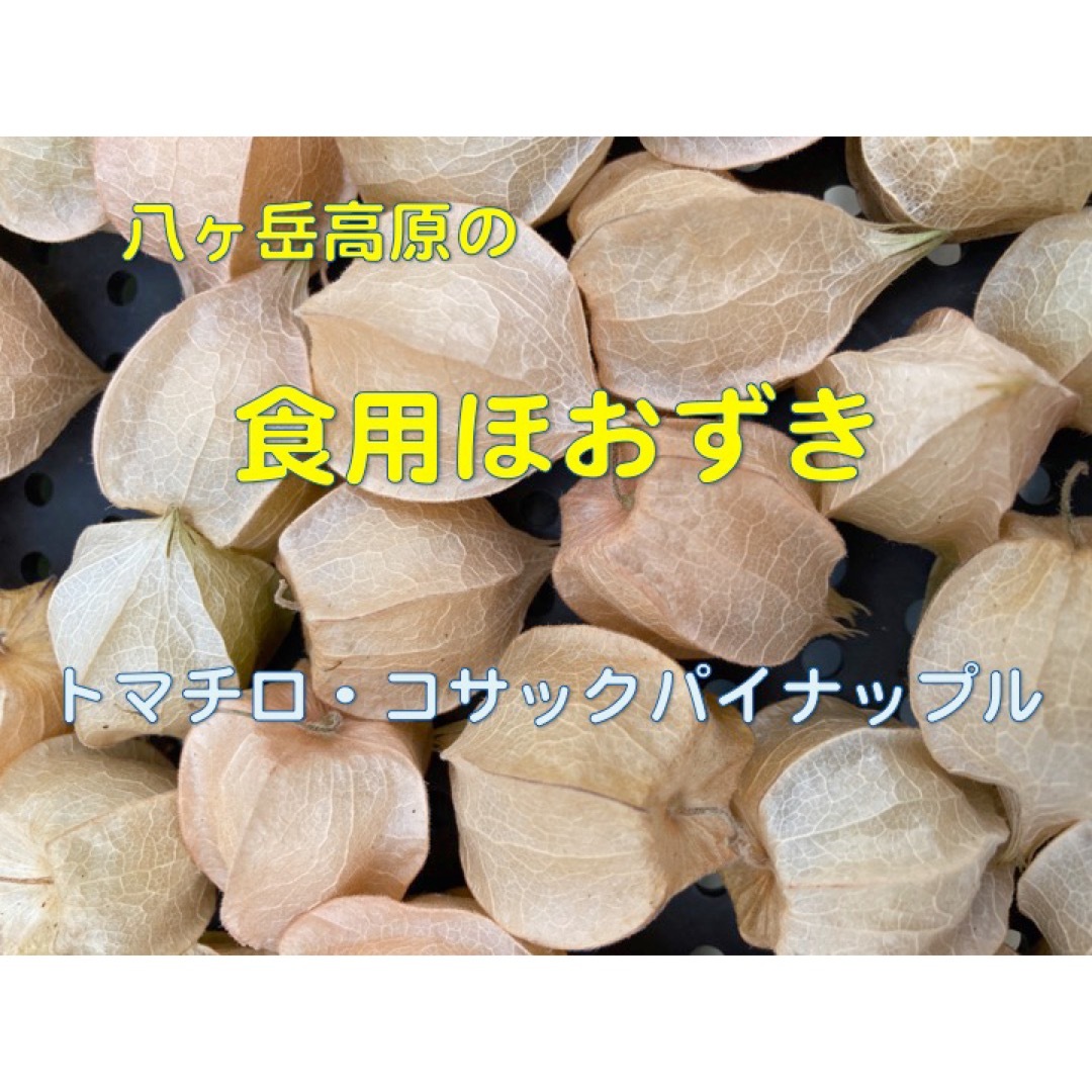 食用ほおずき(トマチロ•コサックパイナップル)  200g以上 食品/飲料/酒の食品(フルーツ)の商品写真
