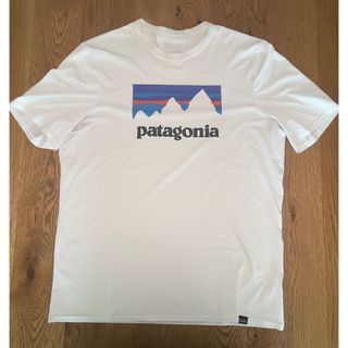 パタゴニア メンズ キャプリーン デイリー グラフィック Tシャツ(Tシャツ/カットソー(半袖/袖なし))