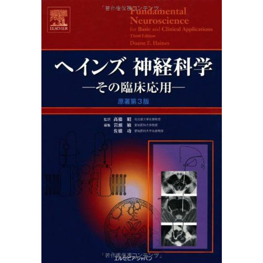 ヘインズ神経科学―その臨床応用 [大型本] デュアン・E.ヘインズ; 高橋昭