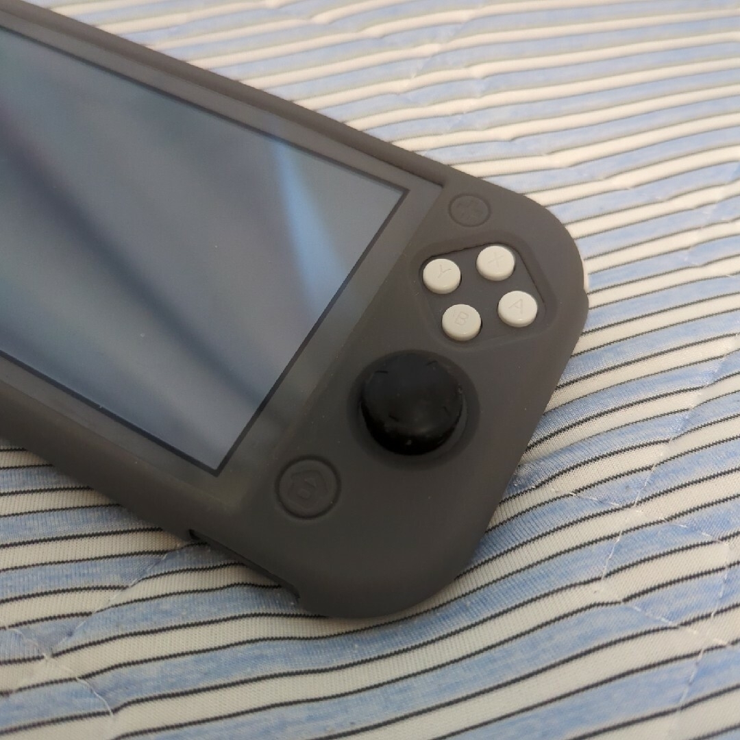 Switch Lite 本体 + ピクミン4 + 128GB SDカード | tradexautomotive.com