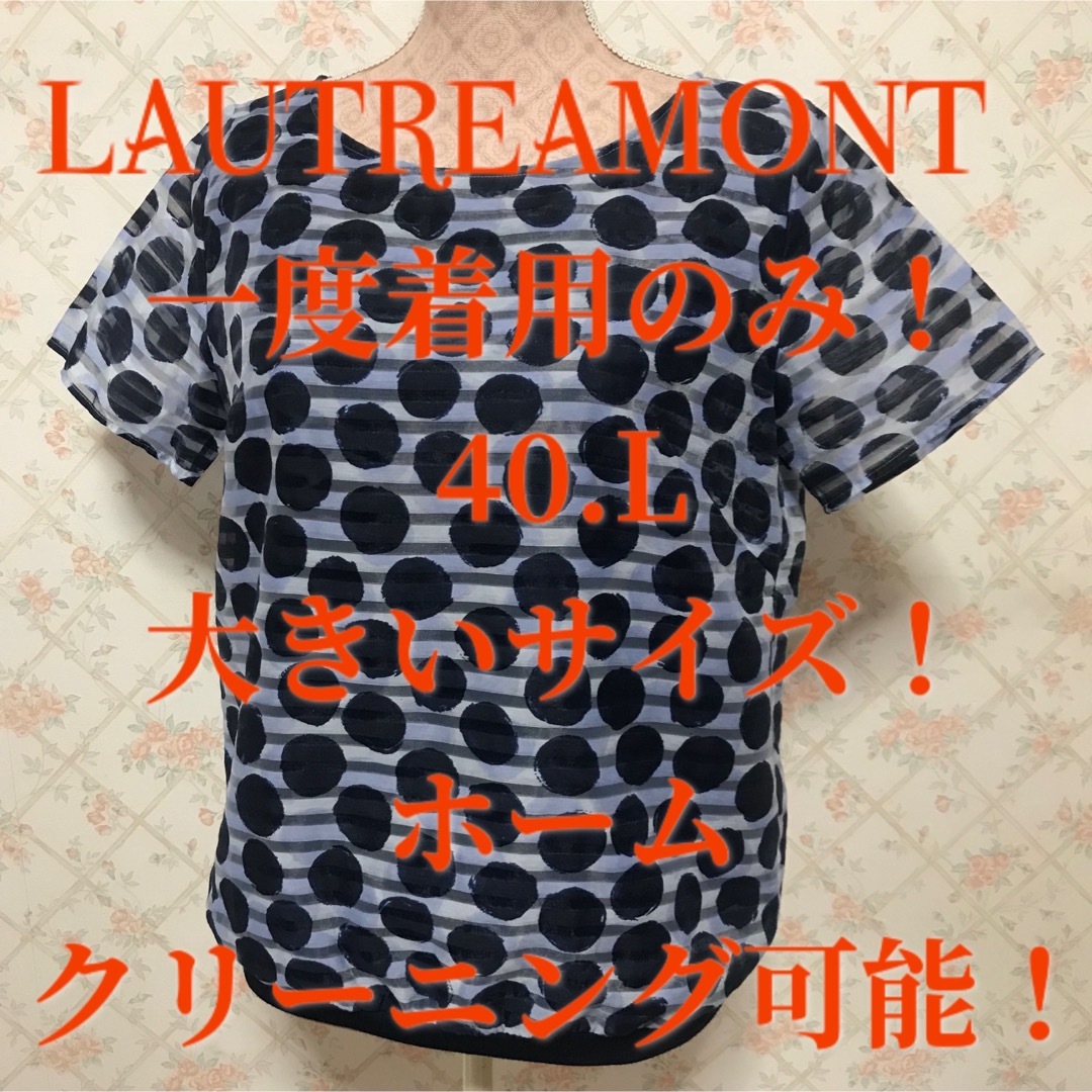 LAUTREAMONT(ロートレアモン)の★LAUTREAMONT/ロートレアモン★一度着用のみ★半袖カットソー40 レディースのトップス(カットソー(半袖/袖なし))の商品写真