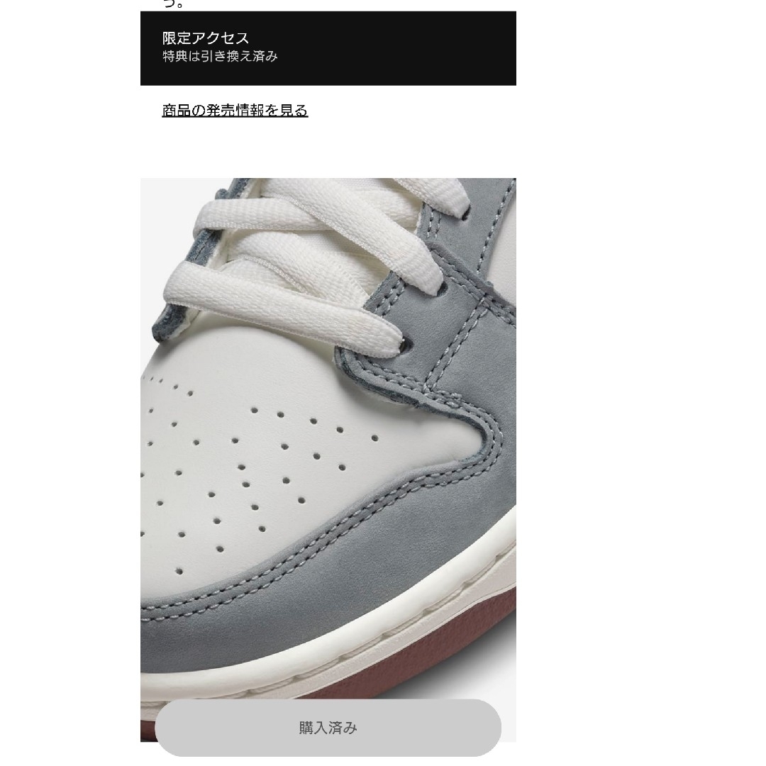 NIKE(ナイキ)の堀米雄斗Yuto Horigome × Nike SB Dunk Low26.5 メンズの靴/シューズ(スニーカー)の商品写真