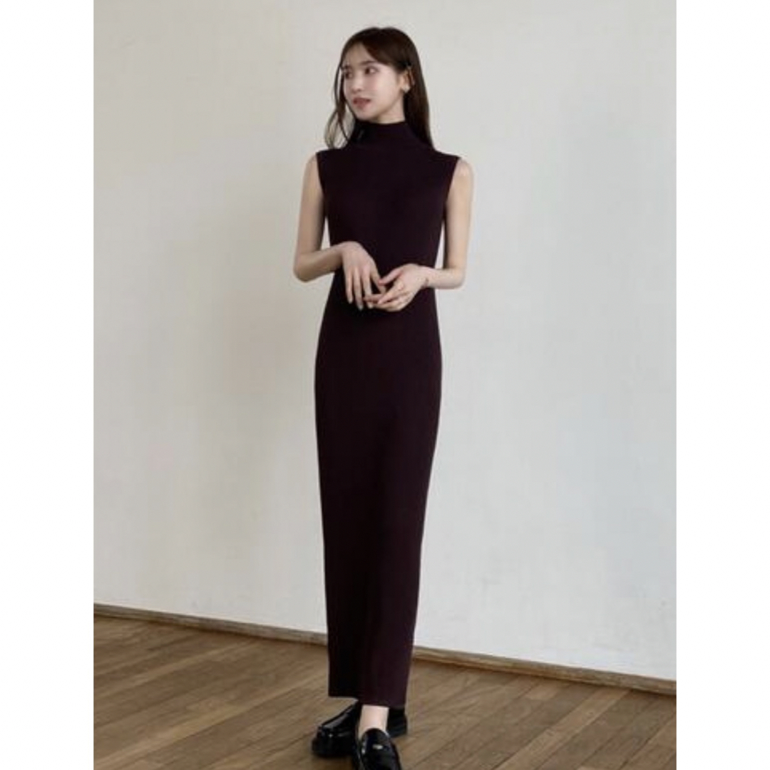 celon sleeveless turtle knit dress