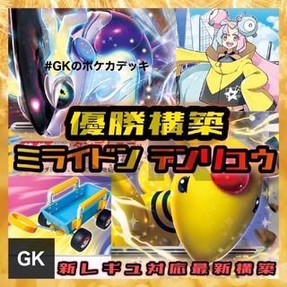 18ページ目 - ポケモン 黒の通販 10,000点以上 | ポケモンを買うならラクマ