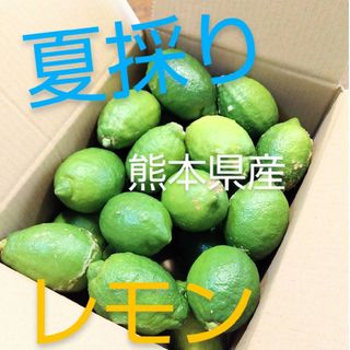 国産レモン　夏採りレモン(フルーツ)