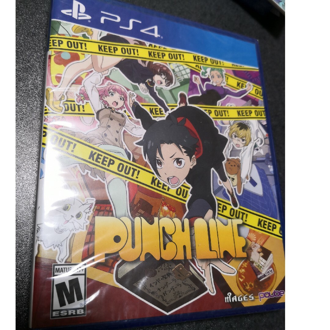 北米版 パンチライン punch line PS4