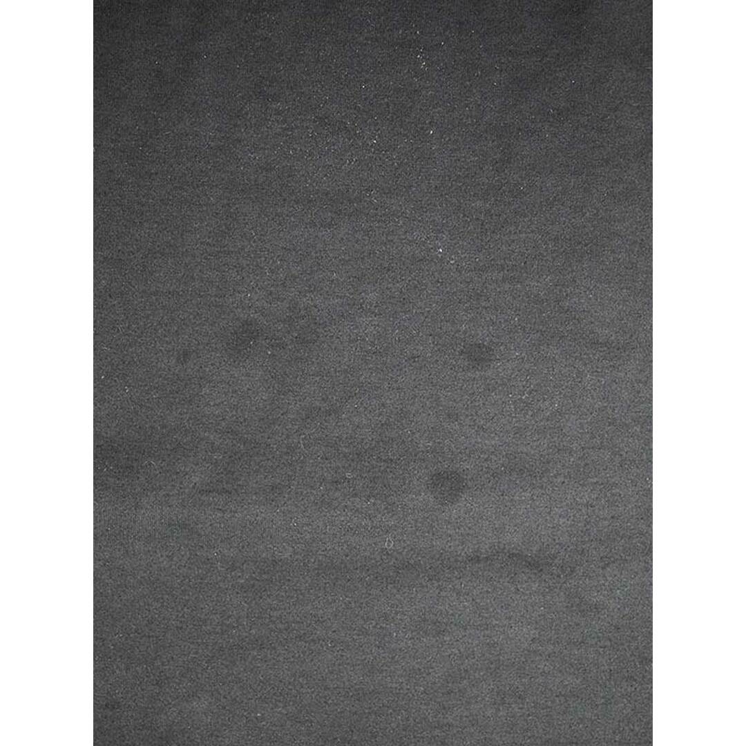 DAIWA(ダイワ)のDAIWA PIER39 ダイワピア39 23SS Tシャツ メンズのトップス(Tシャツ/カットソー(半袖/袖なし))の商品写真