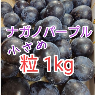 ナガノパープル　小さめ粒　箱込み１kg　長野県産　種無しぶどう(フルーツ)