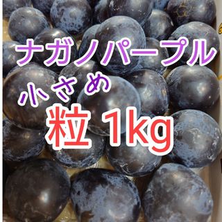 ナガノパープル　小さめ粒　箱込み１kg　長野県産　種無しぶどう(フルーツ)