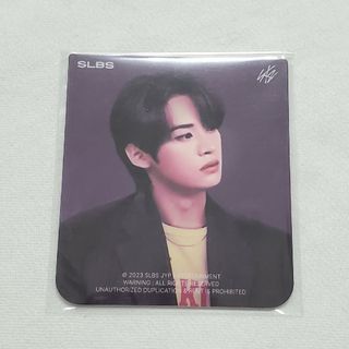 SLBS x Stray Kids Flip5 スーツカード リノ | www.cafealma.co.il