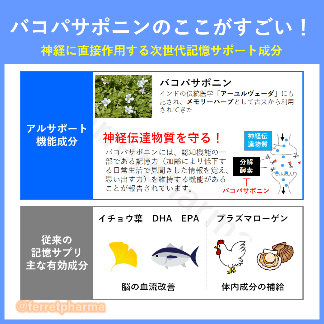 井藤漢方製薬(イトウカンポウセイヤク)の【残りわずか】機能性表示食品 井藤漢方製薬 アルサポート 20日分 2袋 食品/飲料/酒の健康食品(その他)の商品写真