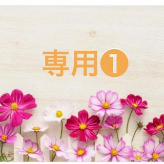 日用品(ノーアルコール)の通販 by Sunny's shop|ラクマ