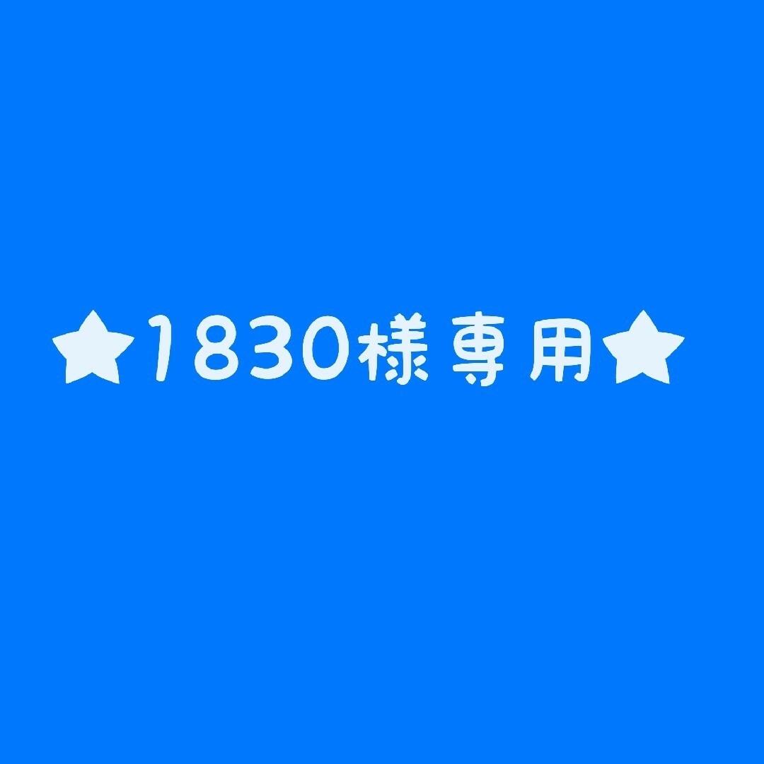 矢沢永吉ステッカー★1830様専用確認用★ | フリマアプリ ラクマ