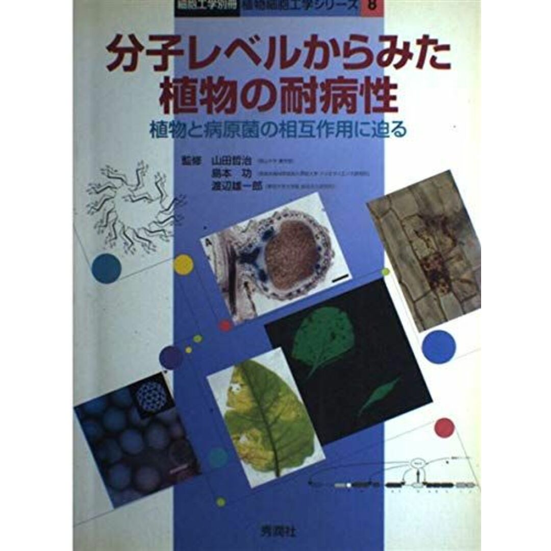 今年の新作から定番まで! 分子レベルからみた植物の耐病性―植物と病原菌の相互作用に迫る (植物細胞工学シリーズ) 雄一郎,渡辺、 哲治,山田; 功,島本 語学+参考書