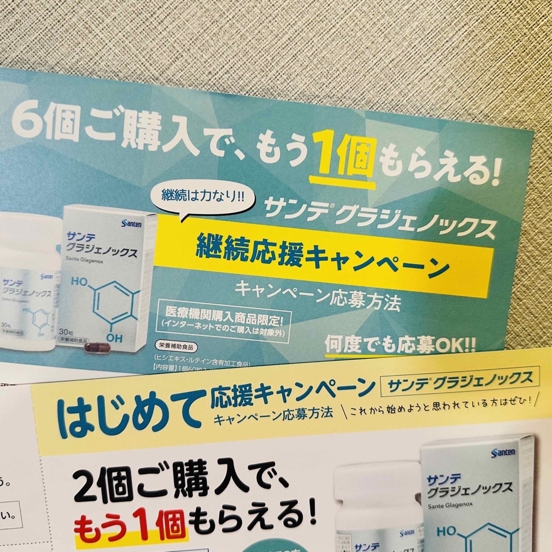 9月限定】サンテグラジェノックス 4箱分 (2箱+引換用紙2枚) - その他