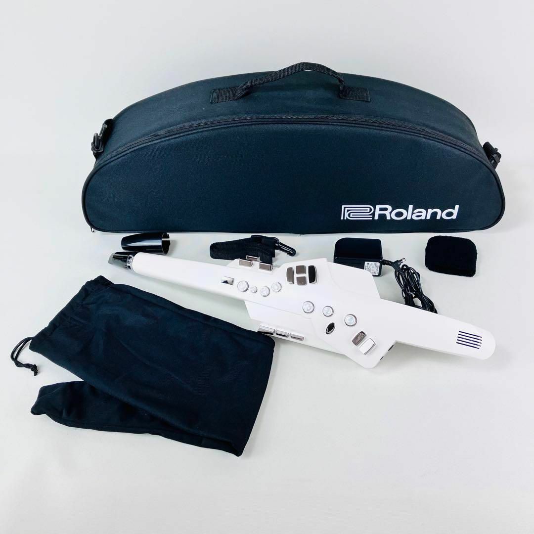 Roland - ☆美品☆ Roland Aerophone AE-10 ローランド エアロフォンの