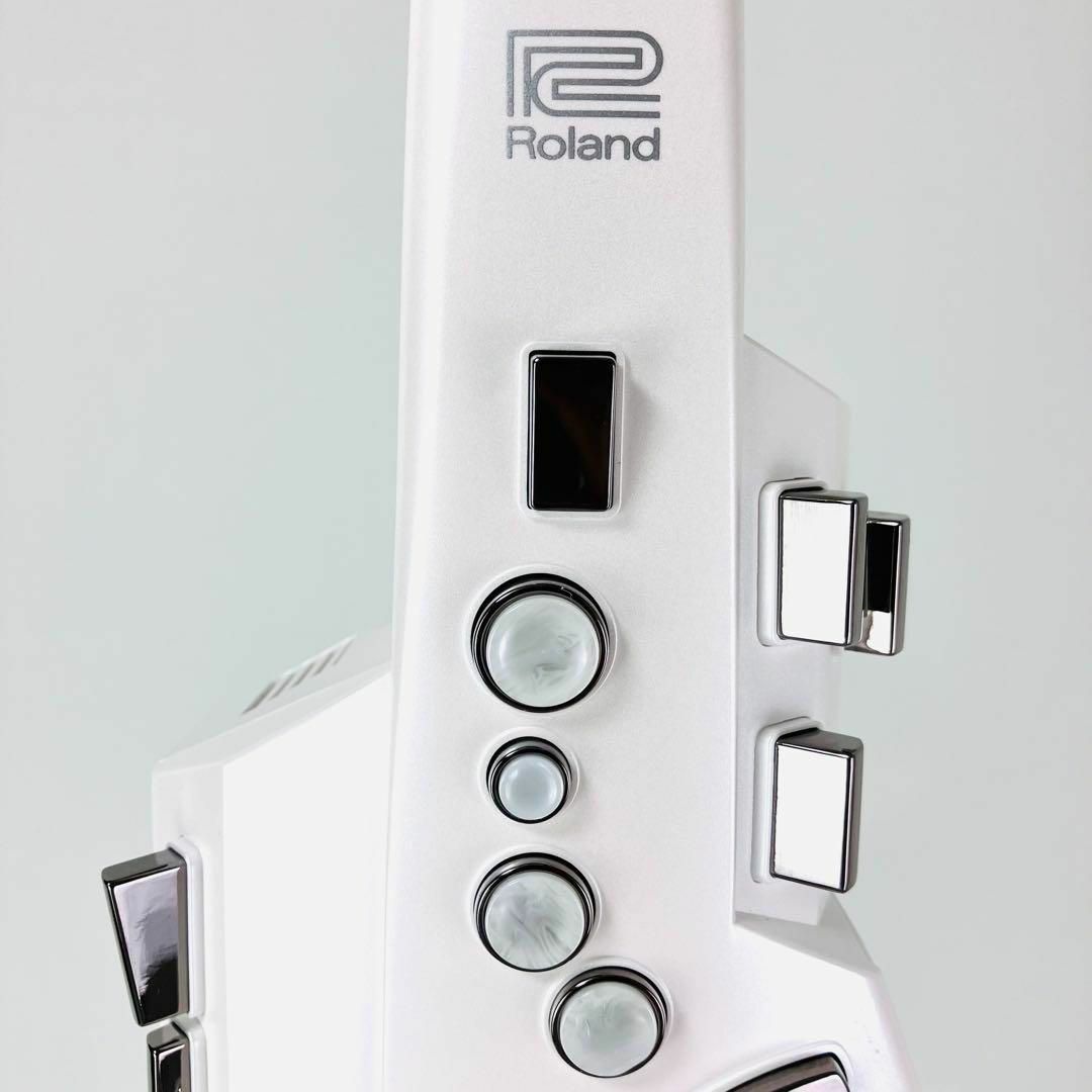 Roland - ☆美品☆ Roland Aerophone AE-10 ローランド エアロフォンの