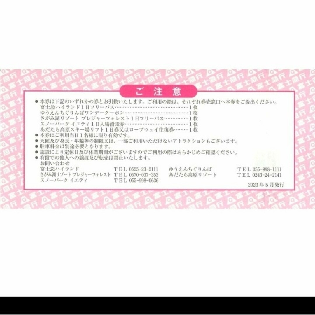 富士急ハイランド フリーパス 富士急行 株主優待券 5枚 5名様分 富士急ハイランド フリーパス 富士急行 株主優待券 5枚 5名様分