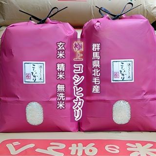 夏のセール！令和4年産！極上コシヒカリ！玄米or精米or無洗米！20(米/穀物)