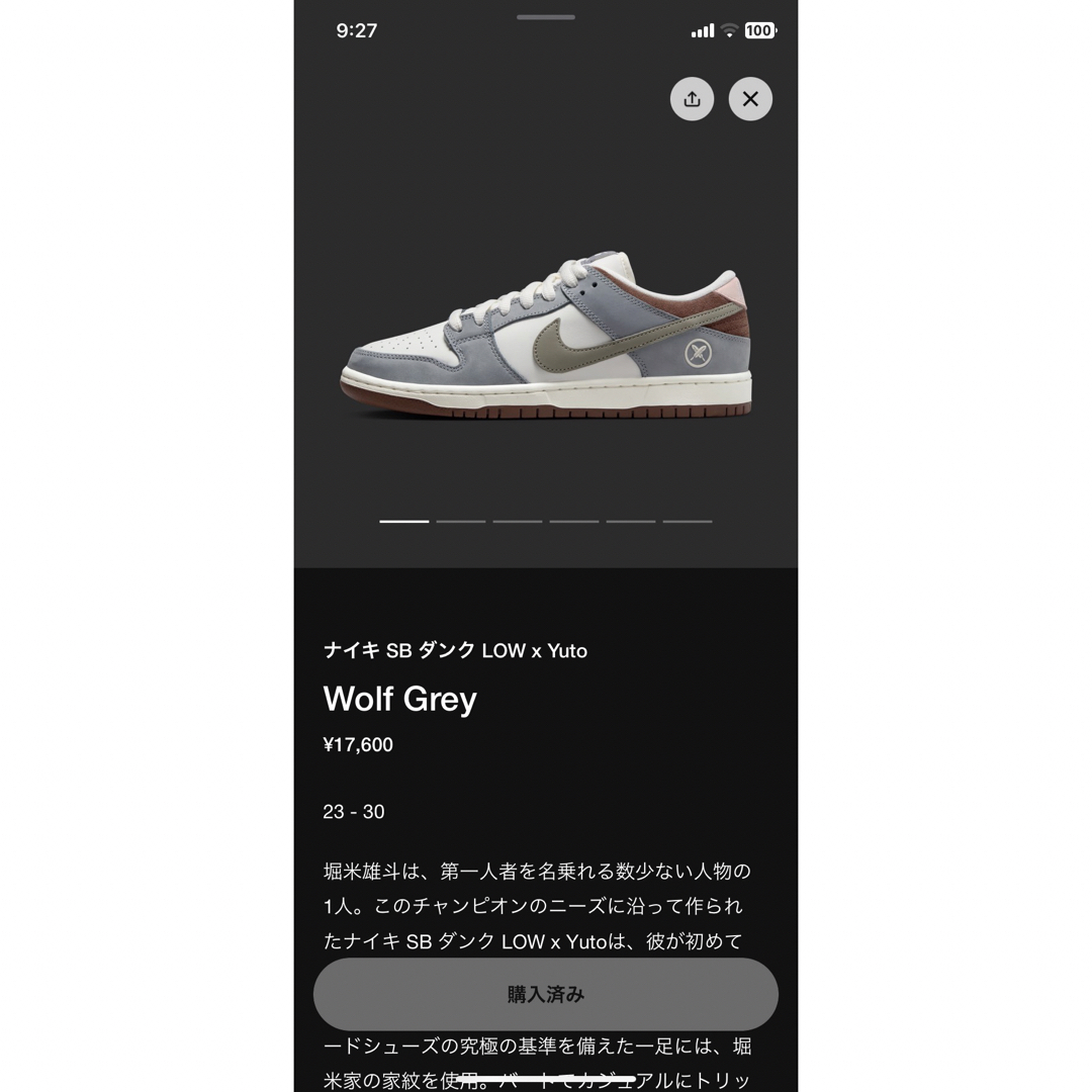 堀米 雄斗× Nike SB Dunk Low "Wolf Grey"