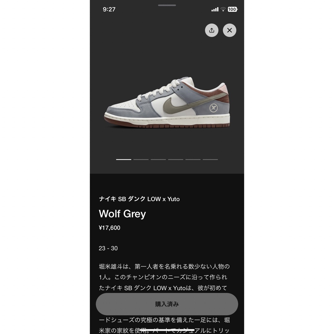 堀米 雄斗× Nike SB Dunk Low ProQS Wolf Grey