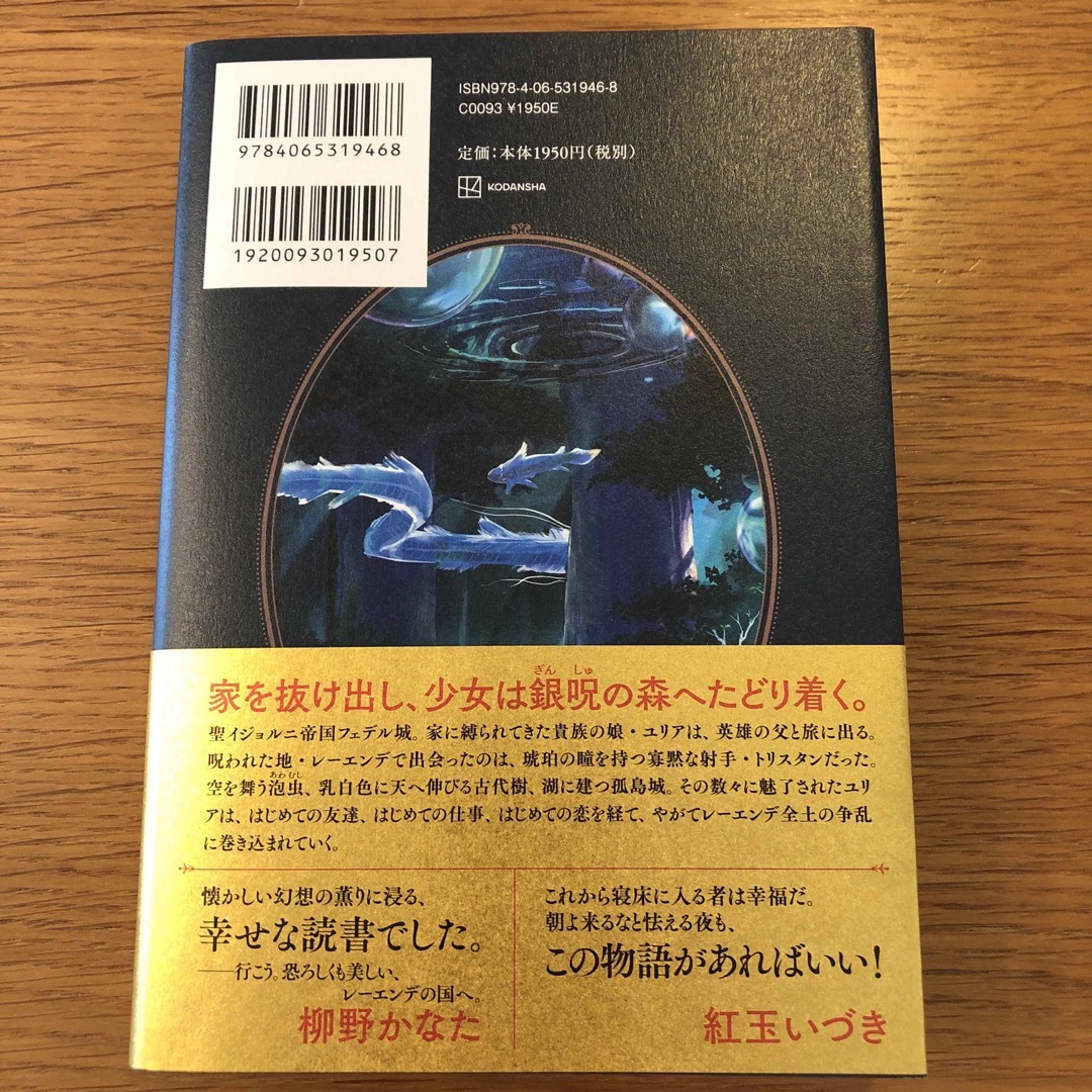 レーエンデ国物語 エンタメ/ホビーの本(文学/小説)の商品写真