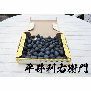 【食べ納めセール中！】平井利右衛門の黒ぶどう(ブラックビート/粒750g)(フルーツ)