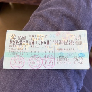 青春18きっぷ　2回分(鉄道乗車券)