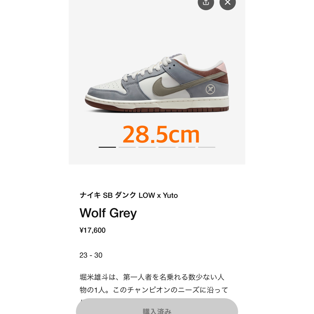 堀米 雄斗× Nike SB Dunk Low Pro QS Wolf Grey