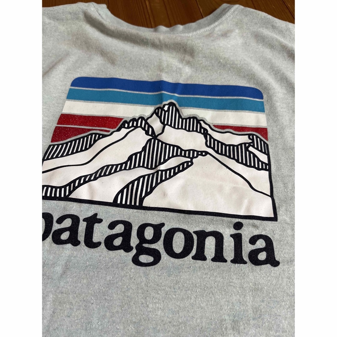 patagonia(パタゴニア)のパタゴニア　patagonia メンズ　Tシャツ　薄水色　Mサイズ メンズのトップス(Tシャツ/カットソー(半袖/袖なし))の商品写真