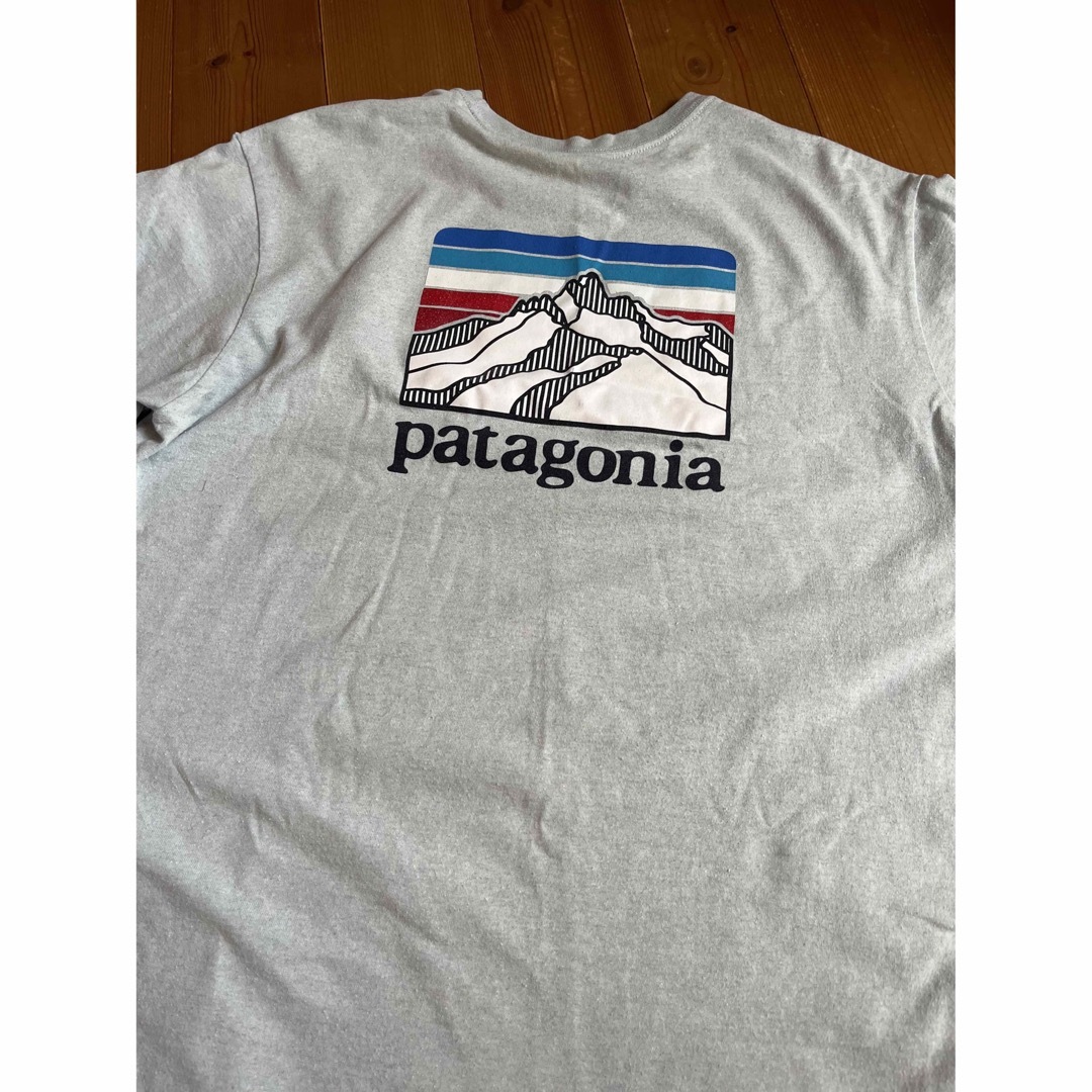 patagonia(パタゴニア)のパタゴニア　patagonia メンズ　Tシャツ　薄水色　Mサイズ メンズのトップス(Tシャツ/カットソー(半袖/袖なし))の商品写真