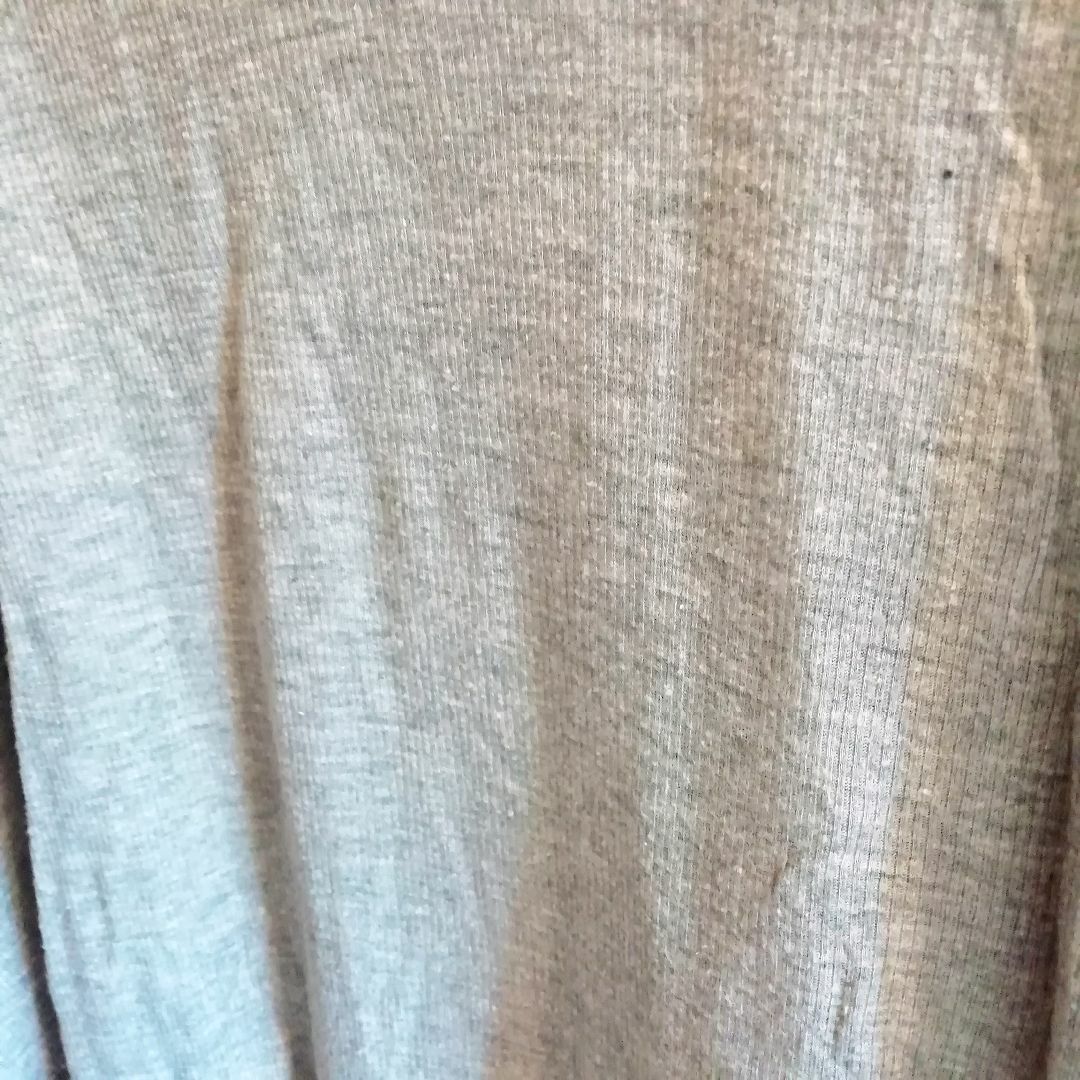 Edition(エディション)のEdition グレー 半袖 Tシャツ 透け感 シアー コットン 綿 ブラウス レディースのトップス(カットソー(半袖/袖なし))の商品写真