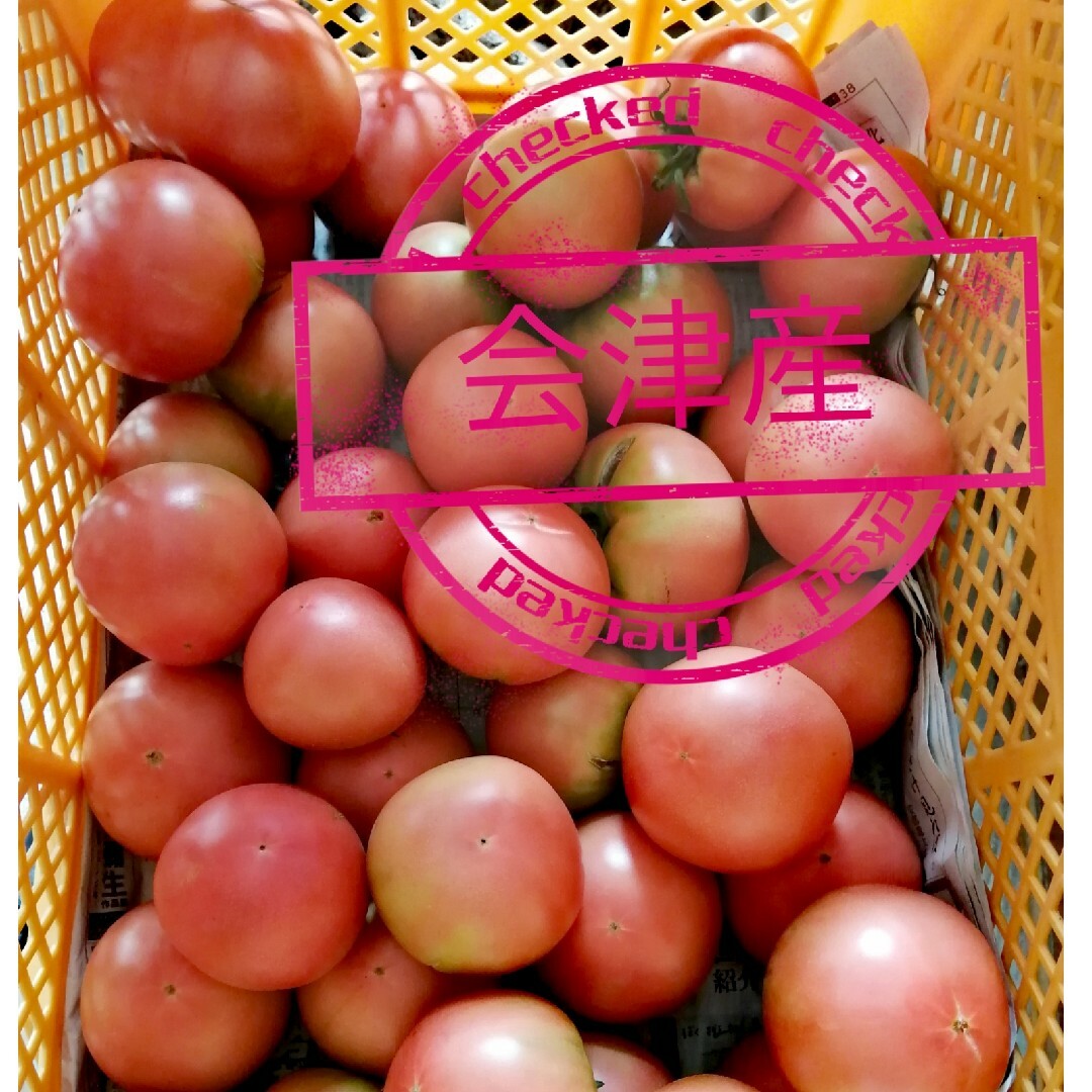 9キロ　高原トマト　南会津産　桃太郎　産地直送 食品/飲料/酒の食品(野菜)の商品写真