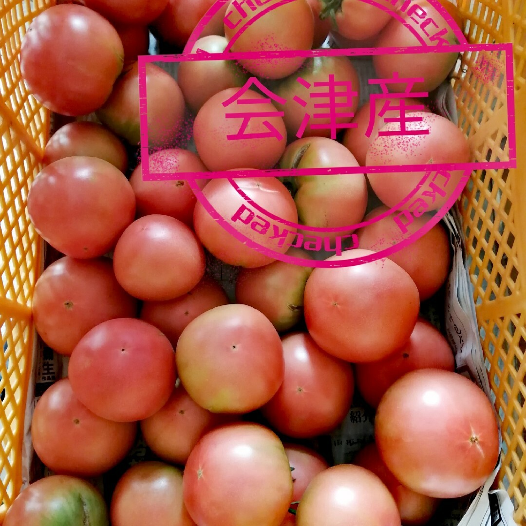 9キロ　高原トマト　南会津産　桃太郎　産地直送 食品/飲料/酒の食品(野菜)の商品写真