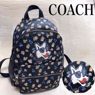 コーチ(COACH)の希少 COACH フラワードック バックパック リュック 花柄 コーチ 総柄 黒(リュック/バックパック)