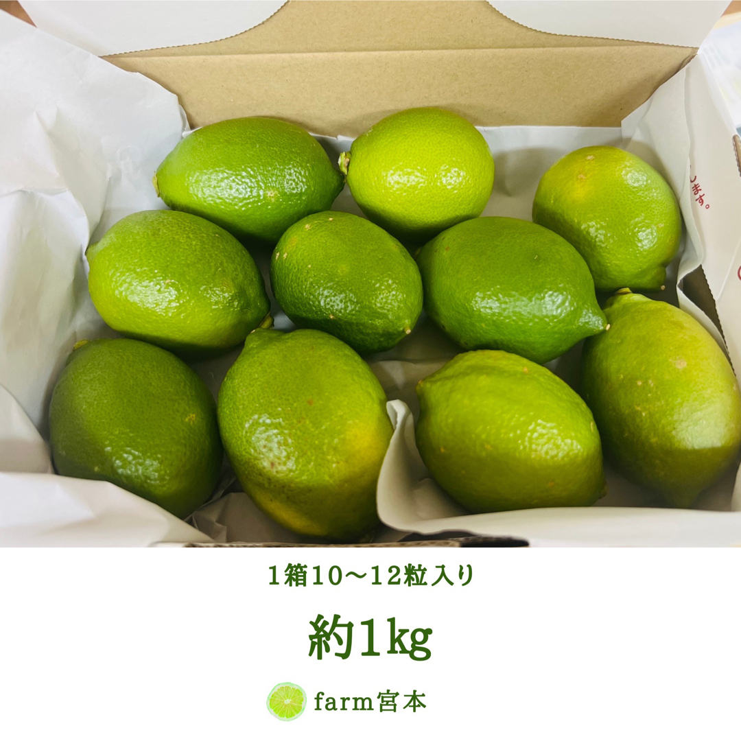 国産減農薬レモン1kg 食品/飲料/酒の食品(フルーツ)の商品写真