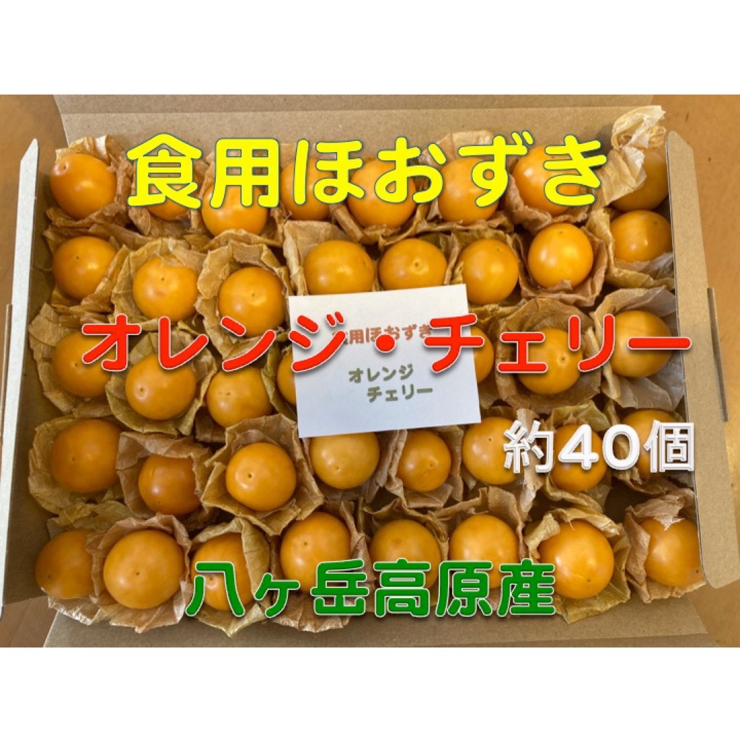 食用ほおずき　オレンジチェリー（ゴールデンベリー）　小粒　約４０個　八ヶ岳高原産