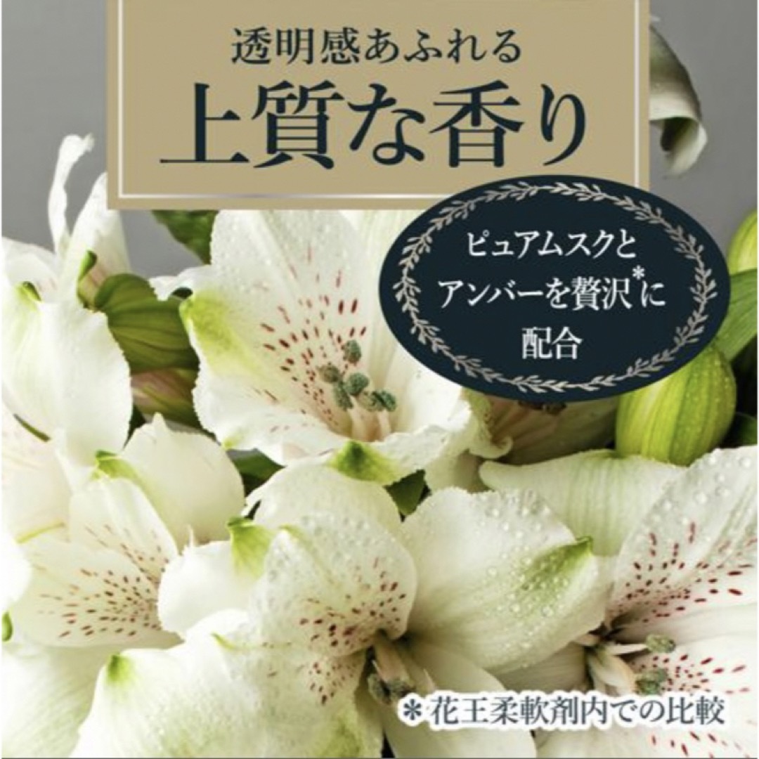 フレア フレグランス IROKA ネイキッドリリーの香り 710ml*15袋 インテリア/住まい/日用品の日用品/生活雑貨/旅行(洗剤/柔軟剤)の商品写真