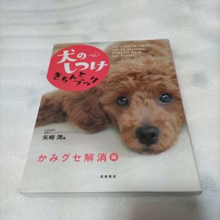 犬のしつけきちんとブック 「かみグセ解消」編(住まい/暮らし/子育て)