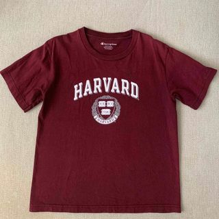 ハーヴァード(HARVARD)のハーバード キッズTシャツ（チャンピオン）Youth Medium(Tシャツ/カットソー)