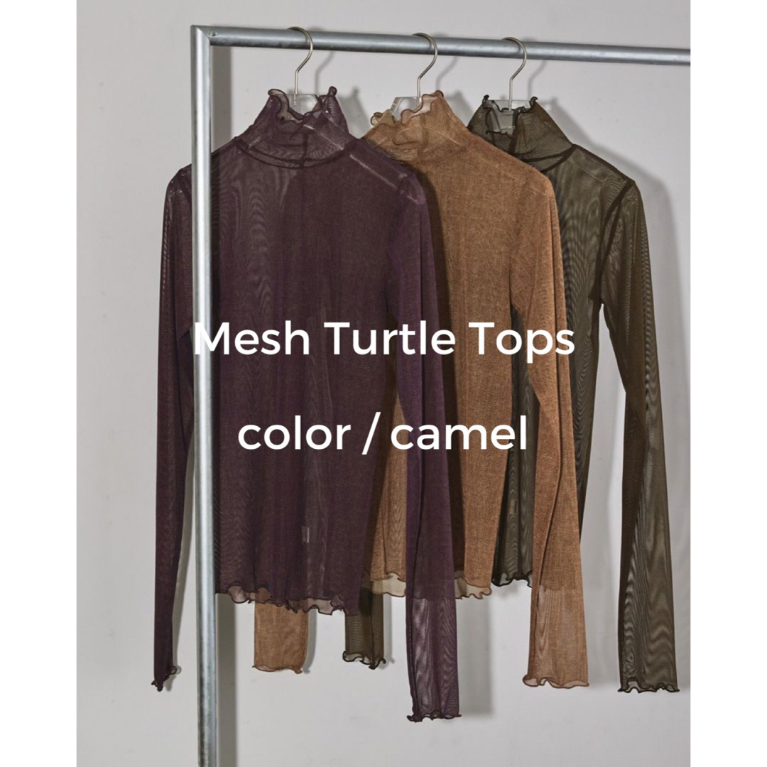 TODAYFUL(トゥデイフル)のMesh Turtle Tops キャメル レディースのトップス(カットソー(長袖/七分))の商品写真