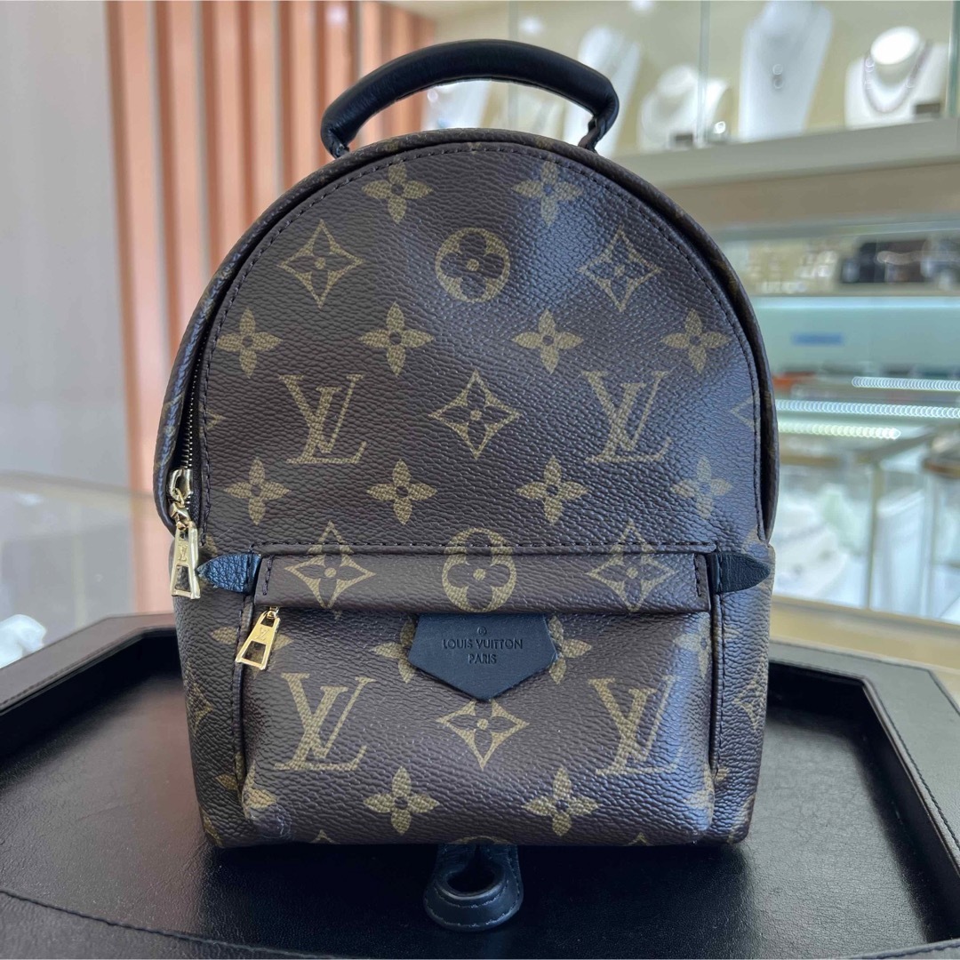 LOUIS VUITTON PALM SPRINGS BACKPACK MINI