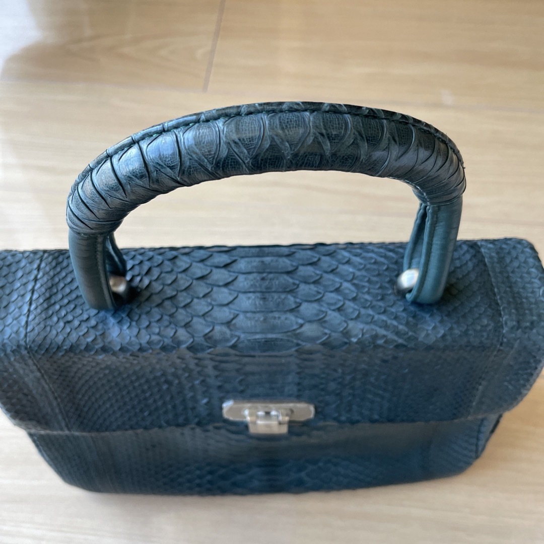 蛇革バッグ レディースのバッグ(ハンドバッグ)の商品写真