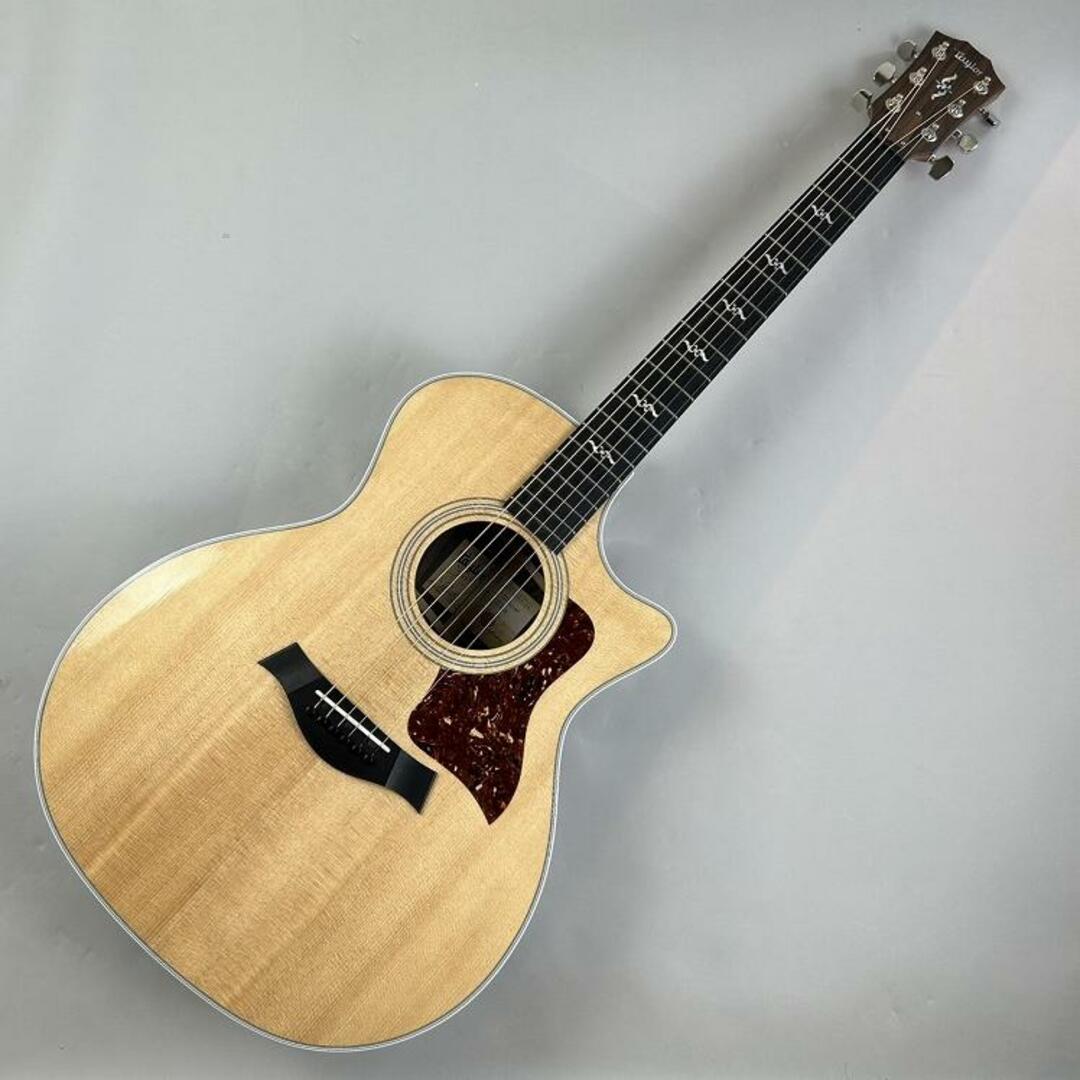 taylor 210e エレクトリックアコースティックギター