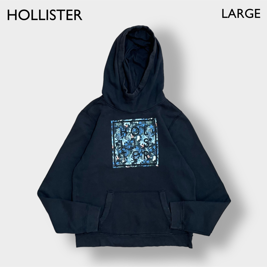 Hollister(ホリスター)のHOLLISTER パーカー プルオーバー スウェット ロゴ プリント L 古着 メンズのトップス(パーカー)の商品写真