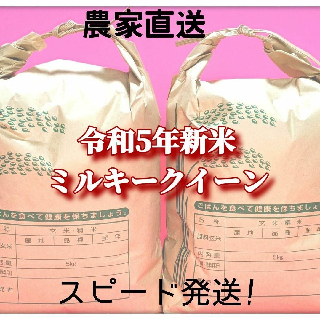 令和5年福井県新米ミルキークイーン玄米20kg　精米可　米/穀物