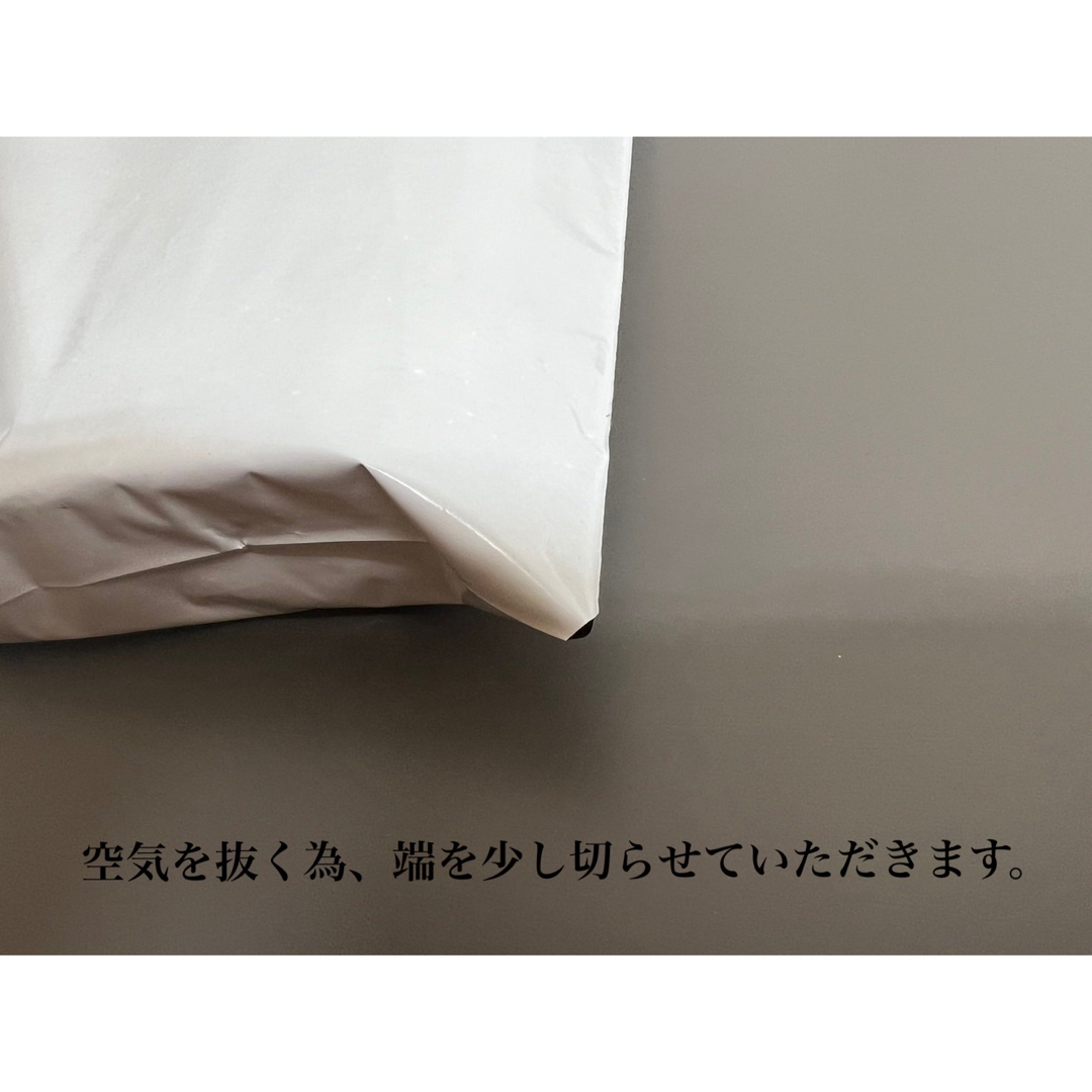 1000枚】ジャパックス チャック付ポリ袋 40ミクロン（横240×縦