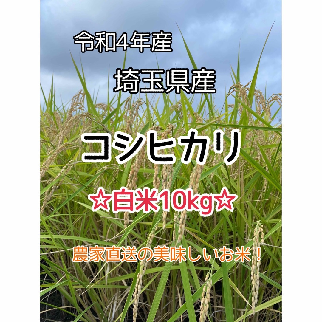 【白米10kg】農家直送！美味しいお米！埼玉県産コシヒカリ！