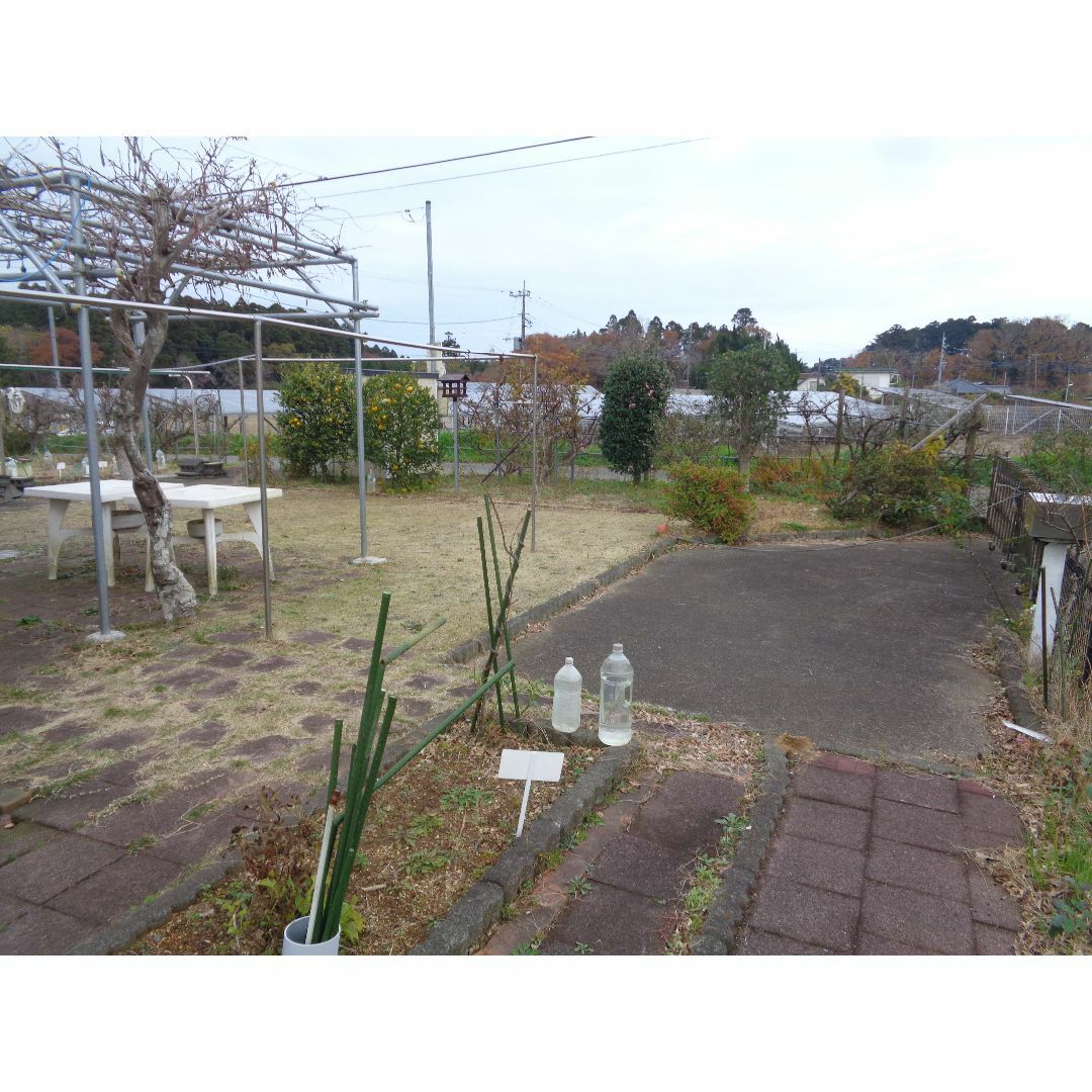 値下げしました。建築可　菜園、茨城県鹿嶋市棚木、海、湖　近くです。約７３坪　14 その他のその他(その他)の商品写真