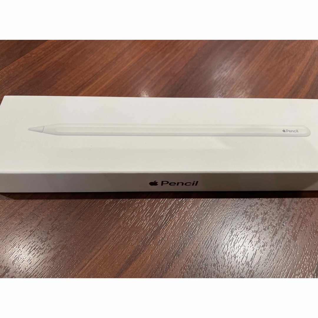 アップル ペンシル 第2世代 Apple Pencil - www.sgaglione.it